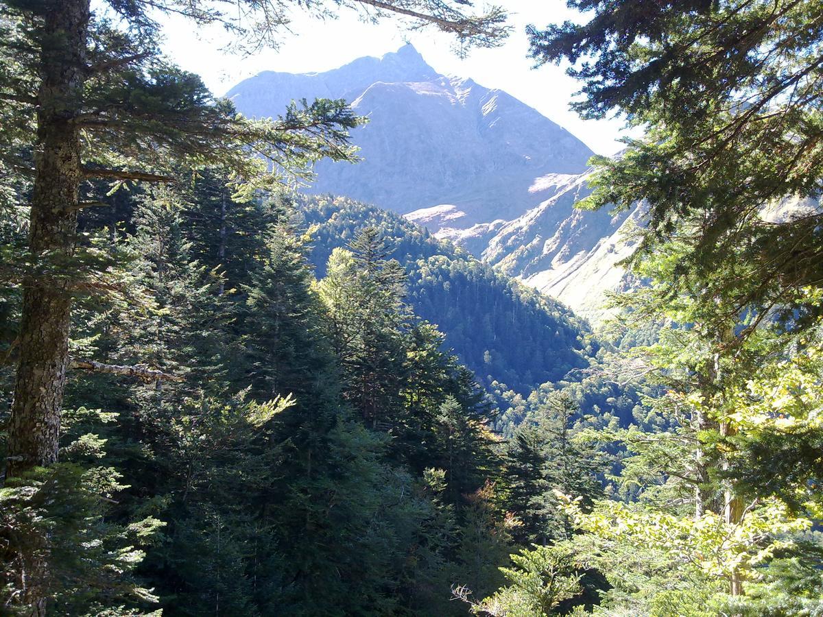 مبيت وإفطار Bagnères-de-Luchon Castel De La Pique المظهر الخارجي الصورة